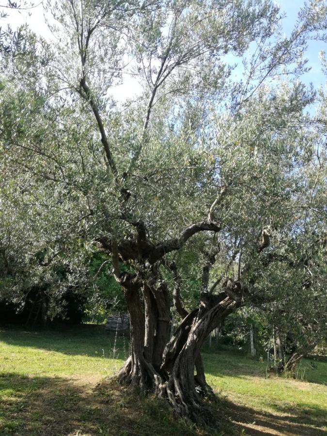 Vacanze In Collina, Tra Mare E Monti Bucchianico Eksteriør billede