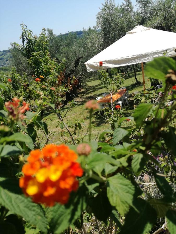 Vacanze In Collina, Tra Mare E Monti Bucchianico Eksteriør billede
